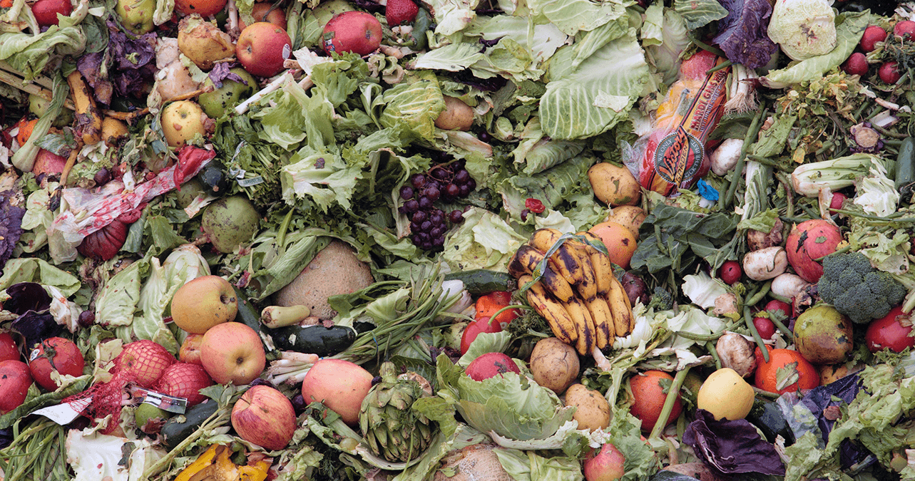 Discarded produce that is beginning to rot